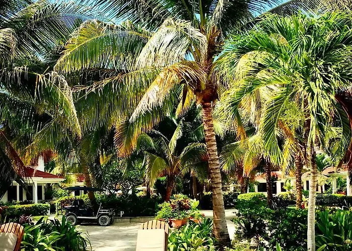 Beachfront San Pedro San Pedro (Ambergris Caye)